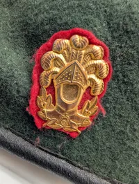 Dansk Militær Beret hjv, 2022