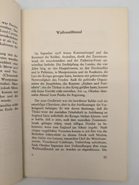Theodor Werner: Die Türken unter der britischen Faust 1918-1923
