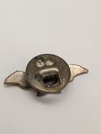 Dansk DNASAP ravnemærke WW2, originalt og Sjældent 