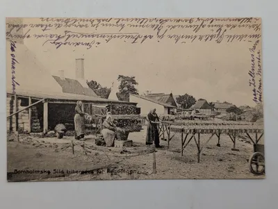 Vintage Danish Postcard, Bornholmske Sild Tilberedes før Røgningen