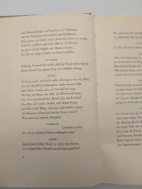 Erich M. R. Schumacher, Die Heilige Flut, Volk und Reich Verlag Prag