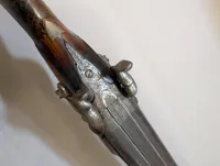 Antique Double-Barrel Percussion Shotgun with Carved Stag Stock