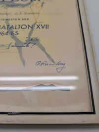 Diplom for tjeneste ved DANOR Bataljon XVII 1964/65, FN UNEF
