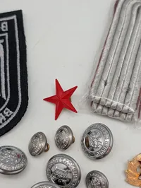 Samling af militære emblemer, knapper og mærker