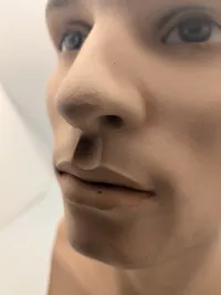 Mandlig mannequin-hovedbuste med realistiske træk