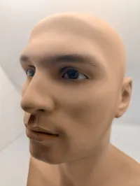 Mandlig mannequin-hovedbuste med realistiske træk