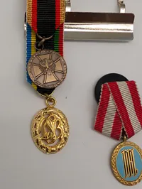 Samling af tyske sportsmedaljer og emblemer, herunder DSB og DJB