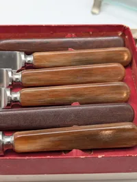 Raadvad and Solingen Vintage Cutlery Set with Fruit Knives and Stand
