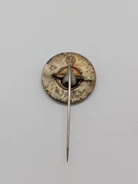 NSDAP Medlemsnål med RZM M1/128 Markering