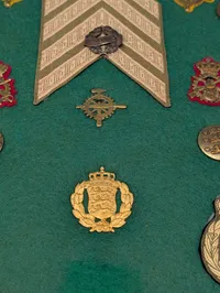 Samling af danske militære distinktioner og emblemer på grønt filt