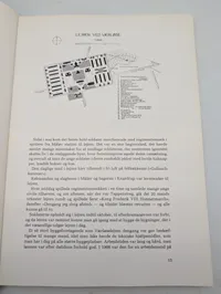 Lejren ved Værløse: Flyvestation Værløse 1934-1984 Jubilæumsskrift