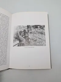 Rolf Michaelis: Das Bandenkampfabzeichen - Militærhistorisk Bog