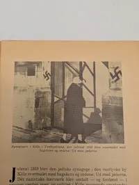 Dansk politisk pamflet: Hitlers mænd i Adenauers tjeneste