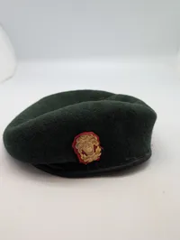 Dansk Militær Beret hjv, 2022