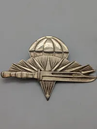 To israelske militære emblemer: Faldskærmstropper og Artillerikorps