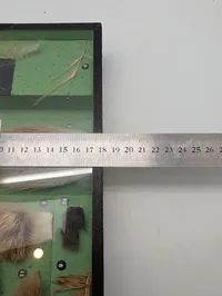 Vintage zoologisk undervisningsmontre med dyrehår og hudprøver