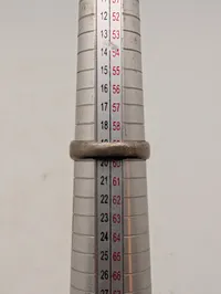 Dansk D.N.S.A.P.  sølvring med hagekors og egeløv i etui, original 