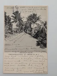 Vintage Real Photo Postcard of Frederiksted, St. Croix, Danish West Indies