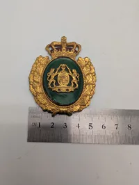 Dansk politikasket emblem 