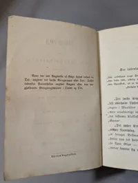 1895 A. M. Mangor Kogebog for smaa Husholdninger Cookbook