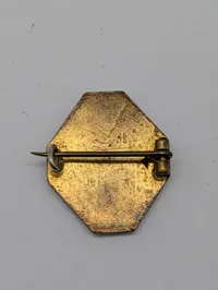 Samling af Østrig-Ungarske Første Verdenskrig Patriotiske Pins og Emblemer