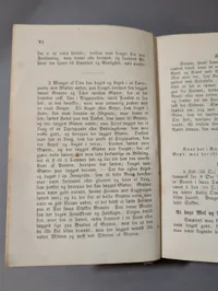 1895 A. M. Mangor Kogebog for smaa Husholdninger Cookbook