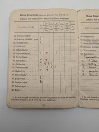 Tysk Kriegsmarine Soldbuch og Wehrmachtsführerschein til Werner Nippes