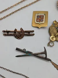 Vintage Mixed Costume Jewelry and Brooch Collection