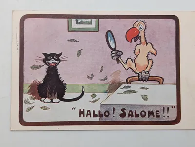 Vintage Comic Postcard Featuring Cat and Plucked Parrot, 'Hallo! Salome!!'