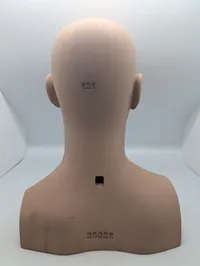 Realistisk mandlig mannequin-hoved i plast med øjne