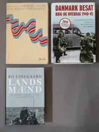 Collection of Three Danish World War II History Books