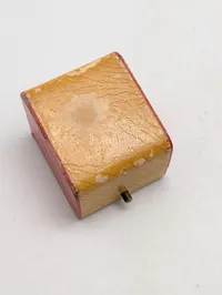 Dansk D.N.S.A.P.  sølvring med hagekors og egeløv i etui, original 