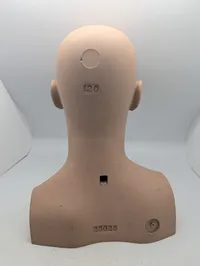 Mandlig mannequin-hovedbuste med realistiske træk