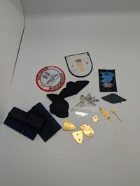 Samling af danske Flyvevåbnet emblemer, stofmærker og pins