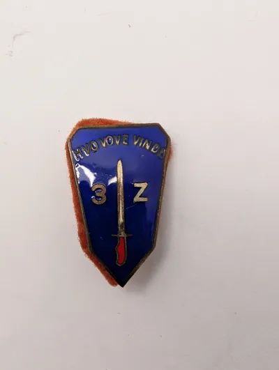French Indochina 3e Bataillon de Zouaves (3e BZ) Military Insignia Pin