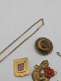 Vintage Mixed Costume Jewelry and Brooch Collection