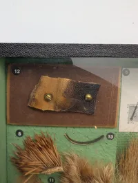 Vintage zoologisk undervisningsmontre med dyrehår og hudprøver