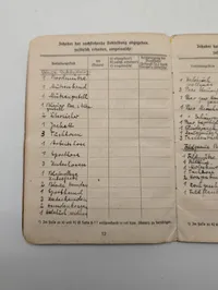 Tysk Kriegsmarine Soldbuch og Wehrmachtsführerschein til Werner Nippes