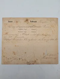 Dansk militær dagsbefaling fra Nyholm, dateret 25. juni 1880