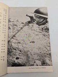 Gert Winsch: Englands Regiment in Palästina, Tysk Bog