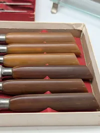 Raadvad and Solingen Vintage Cutlery Set with Fruit Knives and Stand