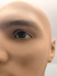 Mandlig mannequin-hovedbuste med realistiske træk