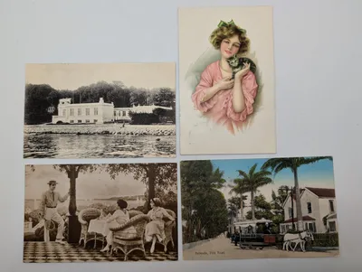 Collection of Four Early 20th Century Illustrated Postcards
