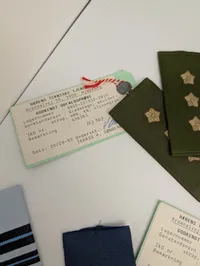 Samling af danske militære gradstegn og skulderstropper