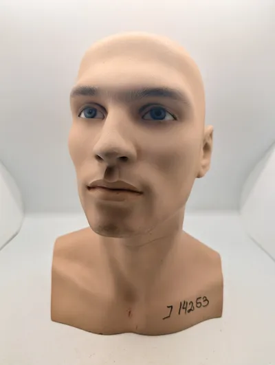 Mandlig mannequin-hovedbuste med realistiske træk