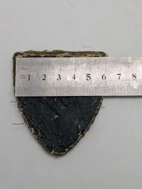Ekstremt Sjældent Dansk D.N.S.A.P. ærmeskjold for Syssel Leder WW2 