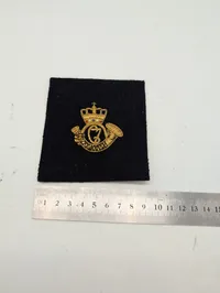 Dansk Jærgerkorps  guldtrådsbroderet til blaser 