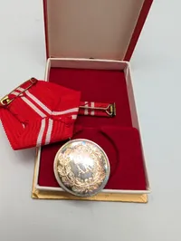 Dronning Margrethe II's 25 år i reserven 