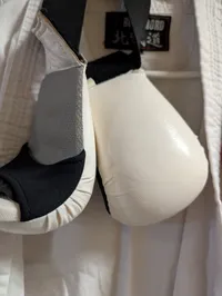 Budo-Nord Karate Gi med Genbukai-emblem og handsker
