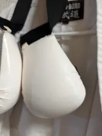 Budo-Nord Karate Gi med Genbukai-emblem og handsker